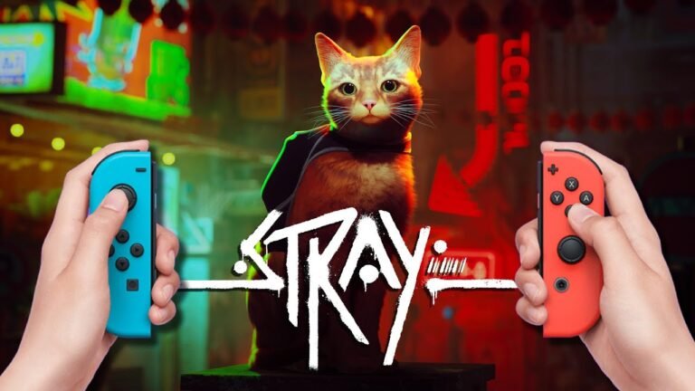 Stray el felino que casi fue Goty