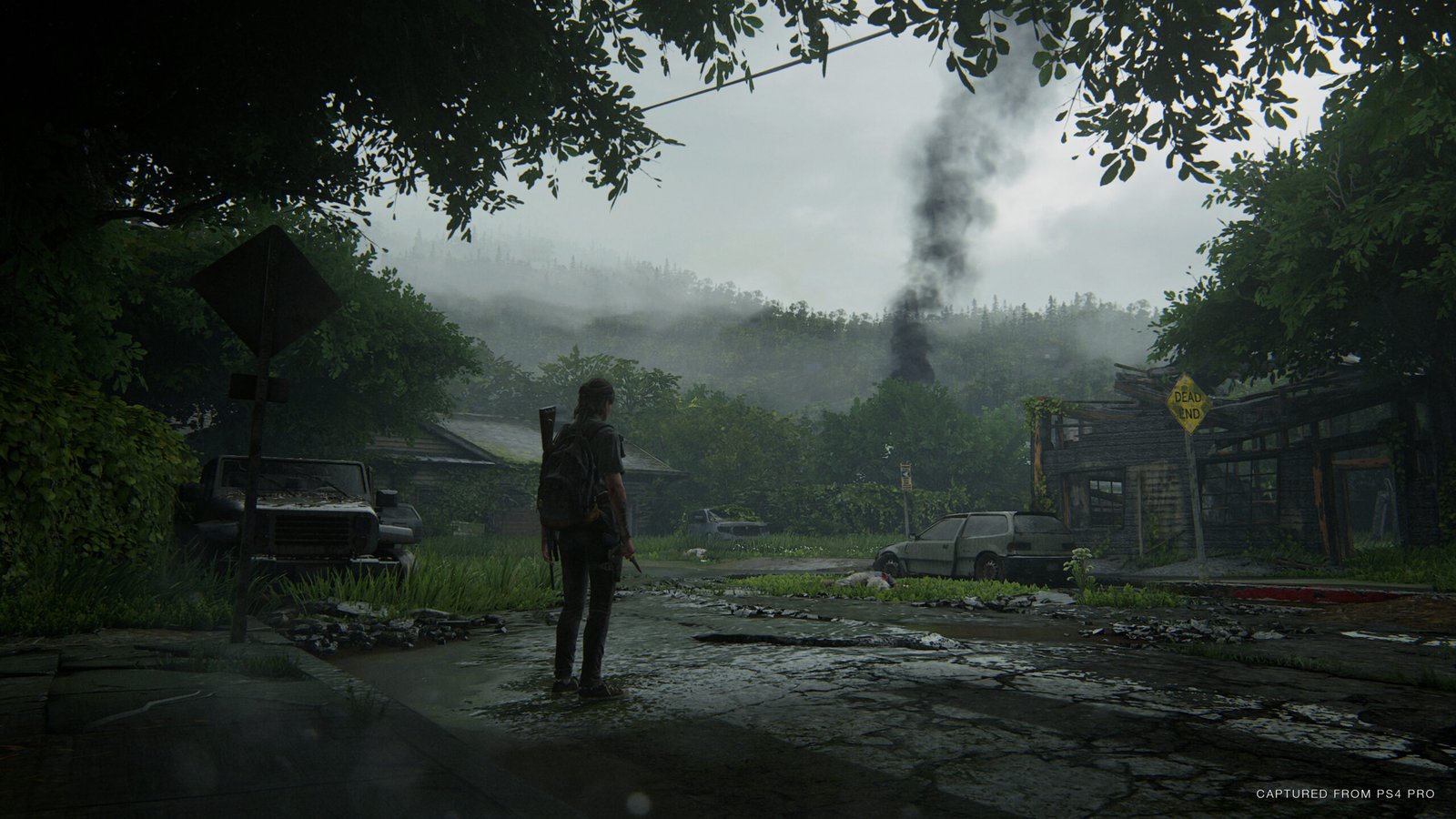 wallpapersden.com_the-last-of-us-part-ii_3840x2160
